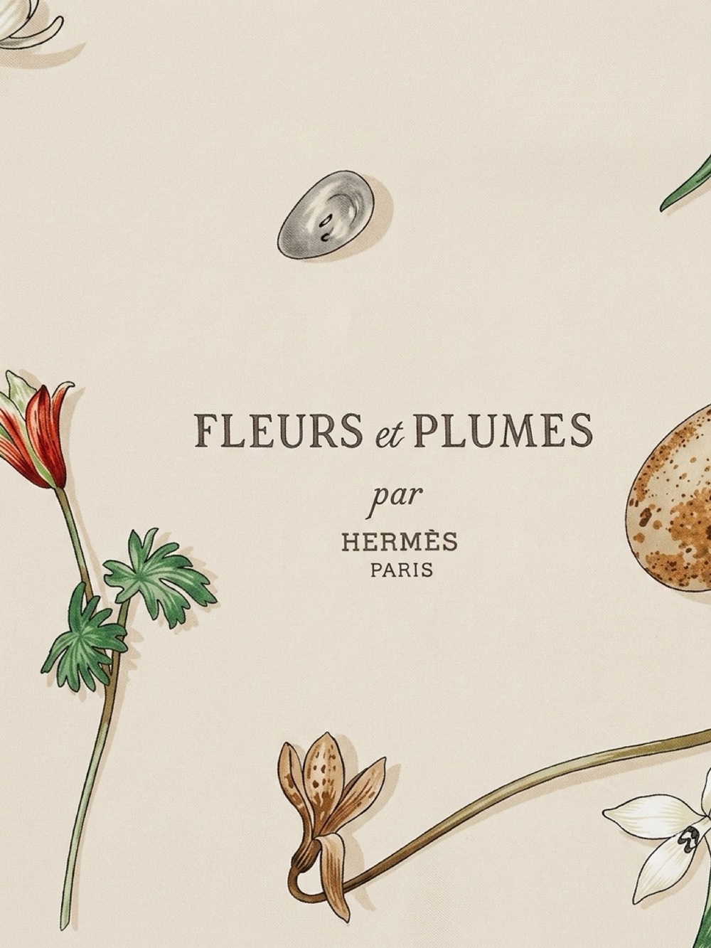HERMES Vintage Fleurs et Plumes Silk Scarf 
Carre 90 by Leigh P Cooke - Picture 2 of 7